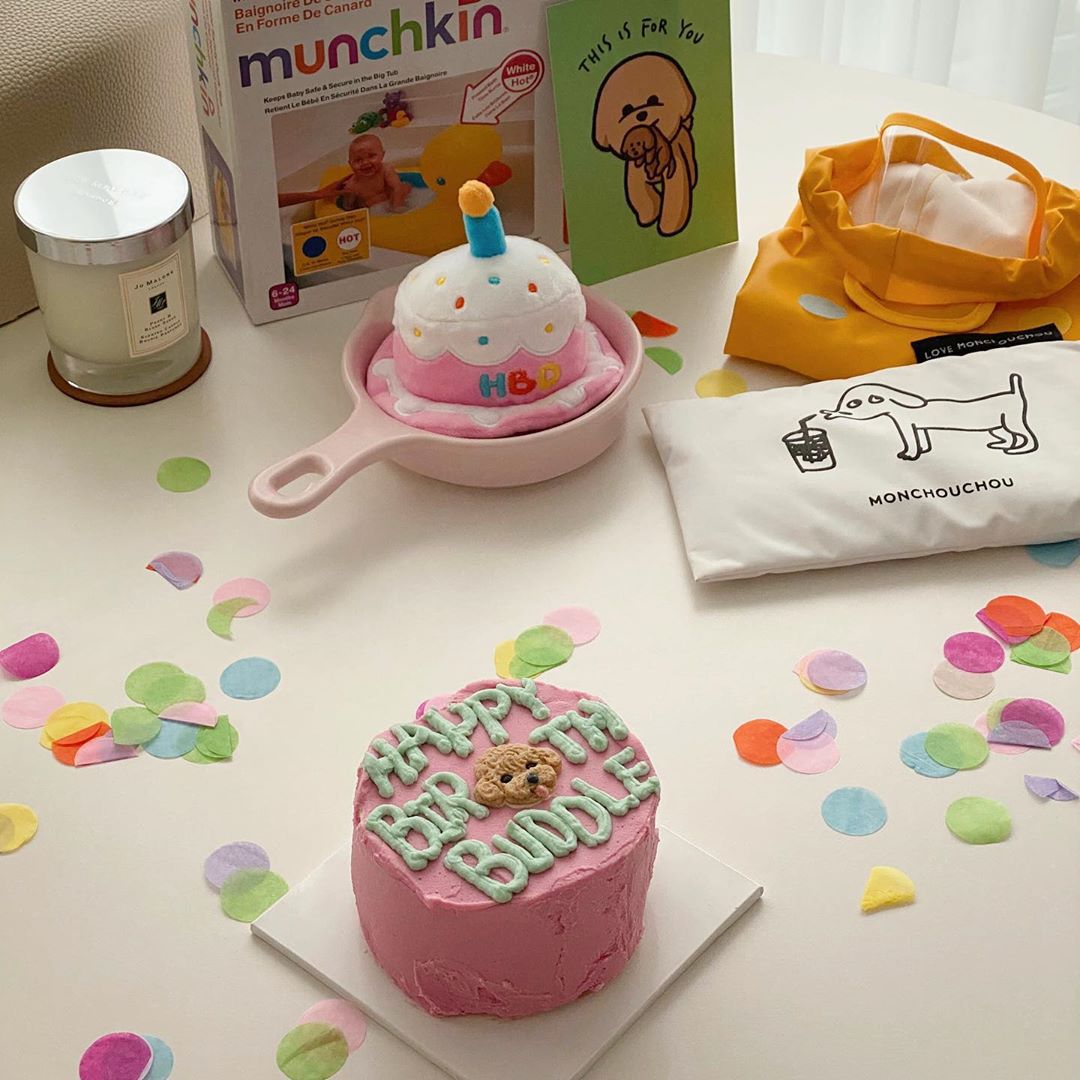 Kingdompet Dog Birthday Cake Hat Squeaky Plush Toys