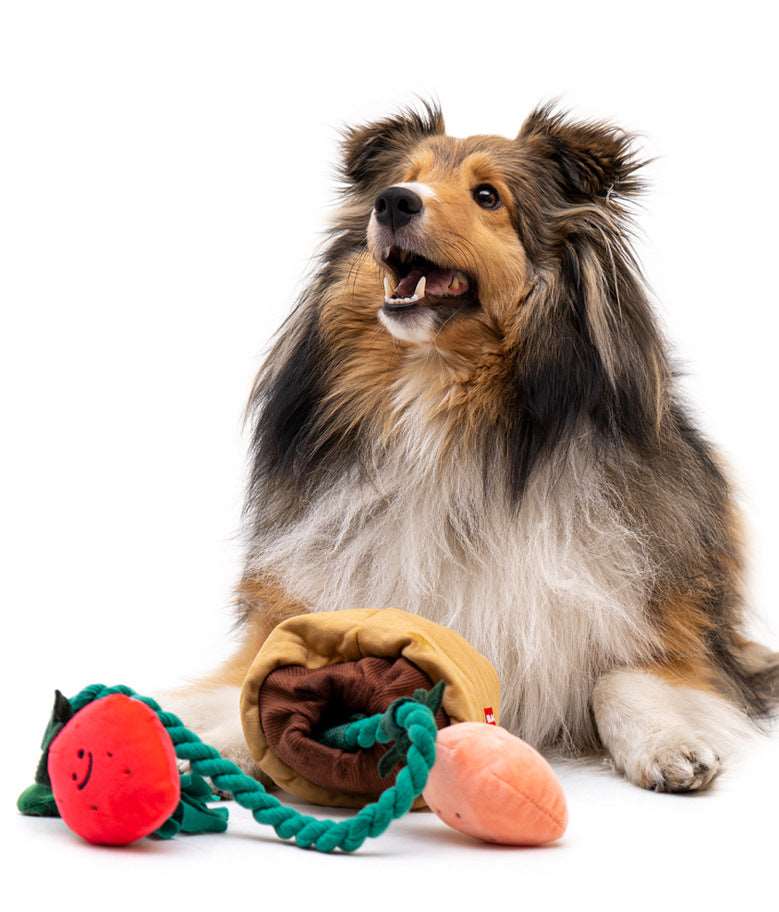 Kingdompet Strawberry Potted Plant Interactive Funny Dog Toys Pet Food Hidden Dog Puzzle Toys