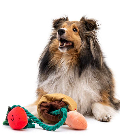 Kingdompet Strawberry Potted Plant Interactive Funny Dog Toys Pet Food Hidden Dog Puzzle Toys