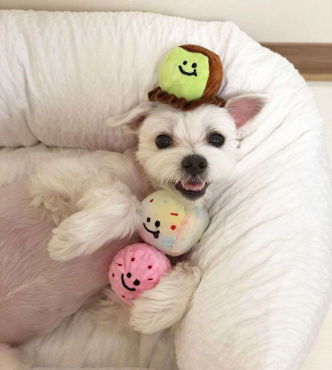 Kingdompet Ice-cream with 3 colorful Balls Hide and Seek Dog Plush Interactive Puppy Toy