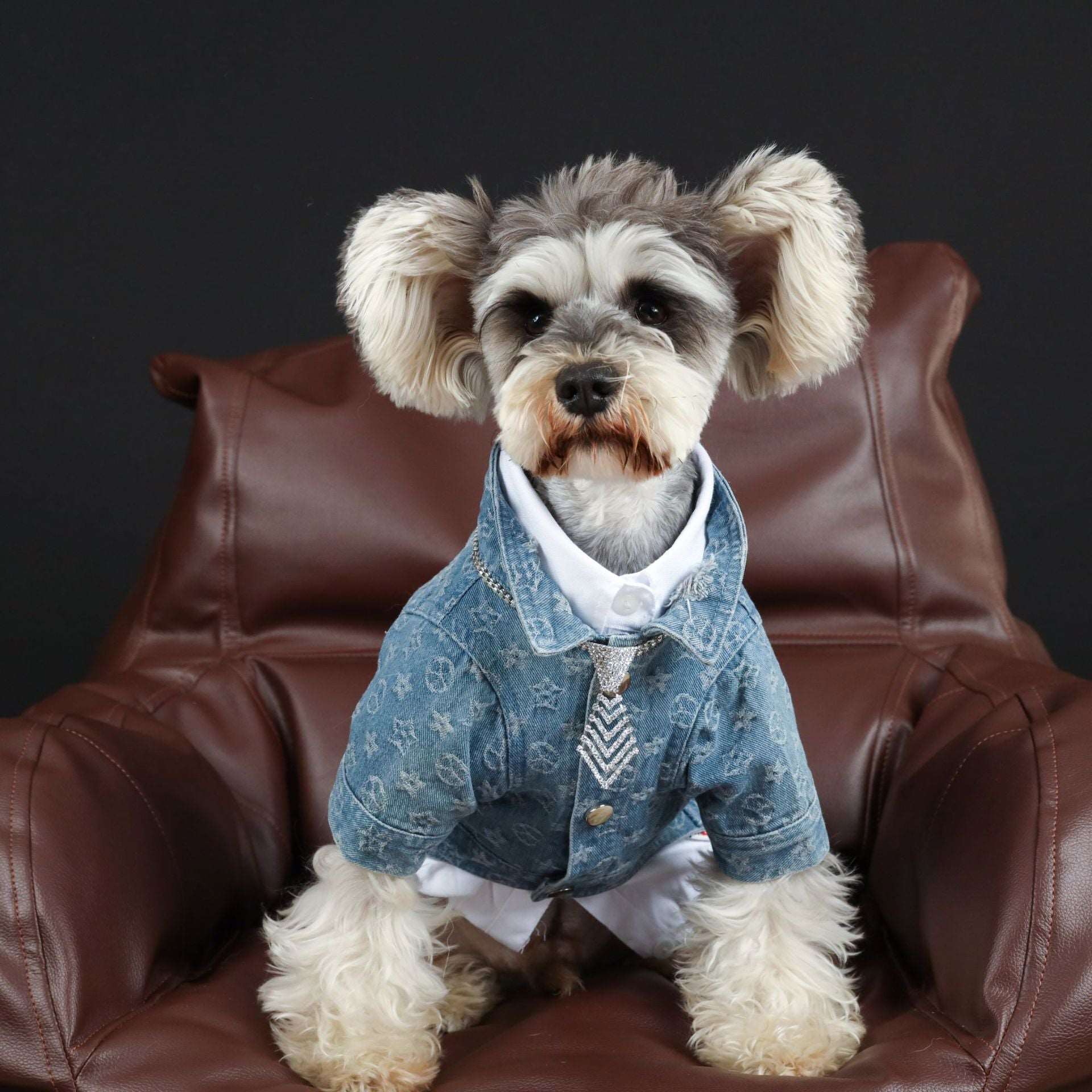 Dog Denim Jacket