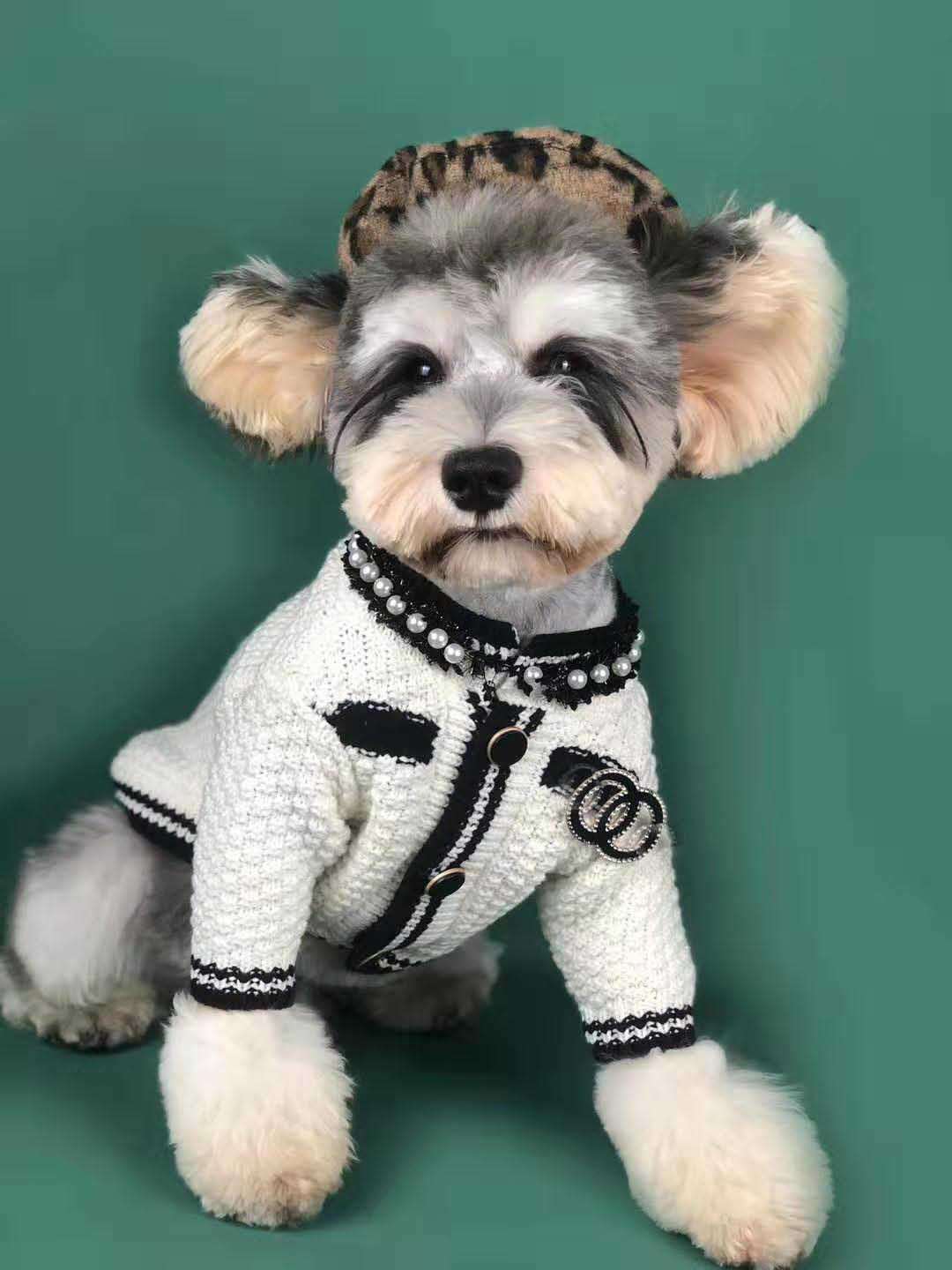 Dog Spring CC Cardigan