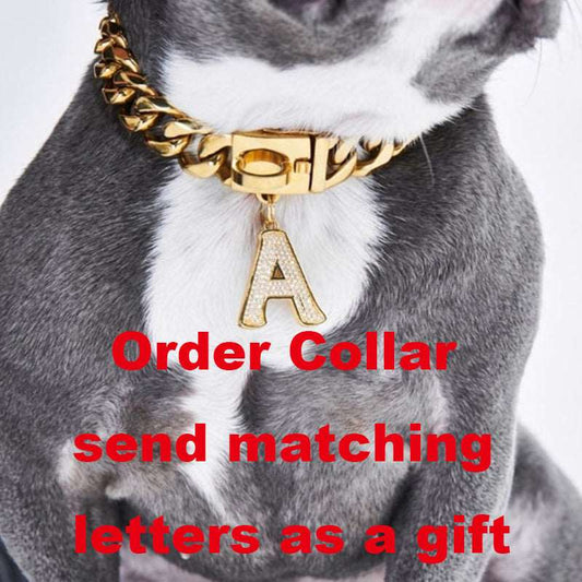 Cuban dog collar