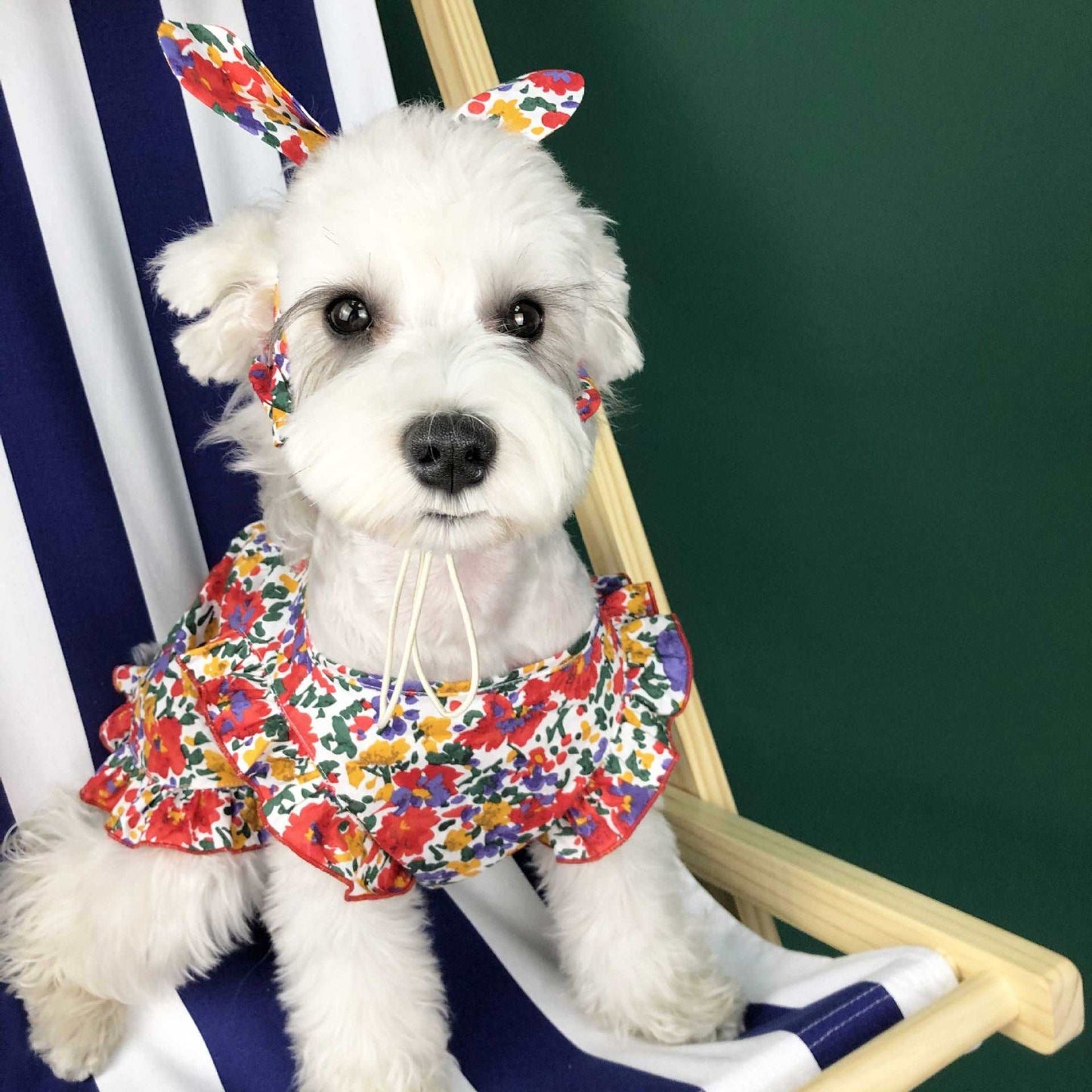 Dog Floral Dress