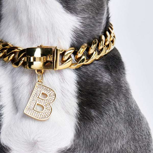 Cuban dog collar