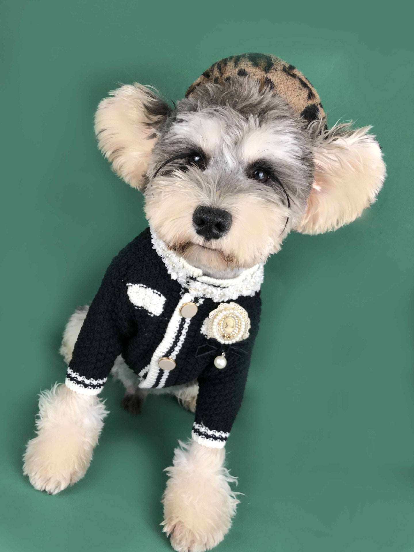 Dog Spring CC Cardigan