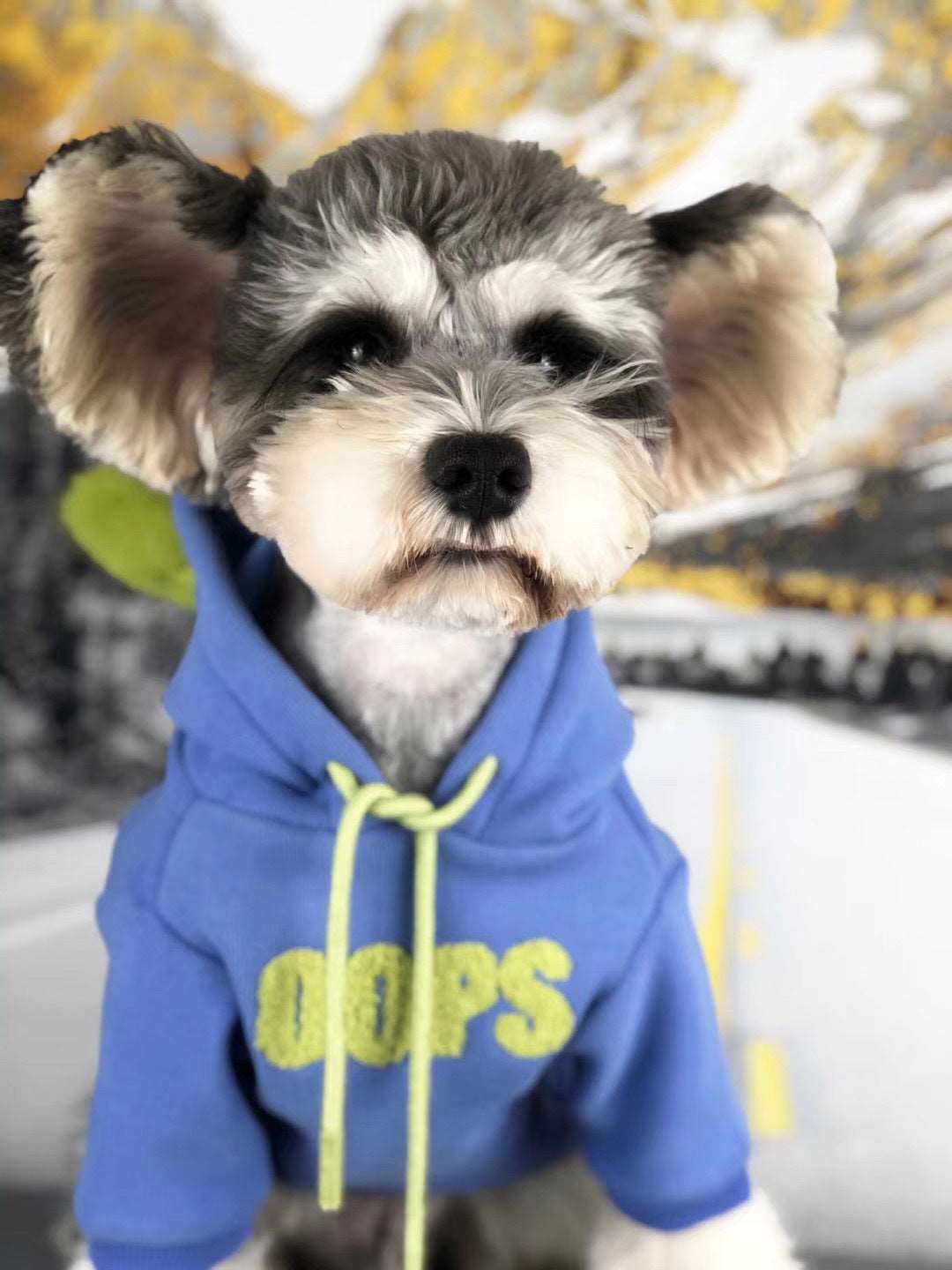 Dog Oops Hoodies