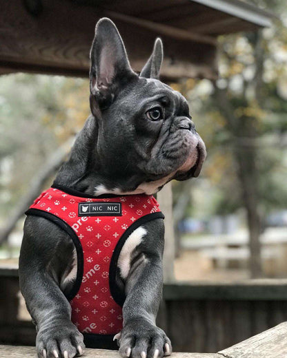 Pupreme Dog Harness Set