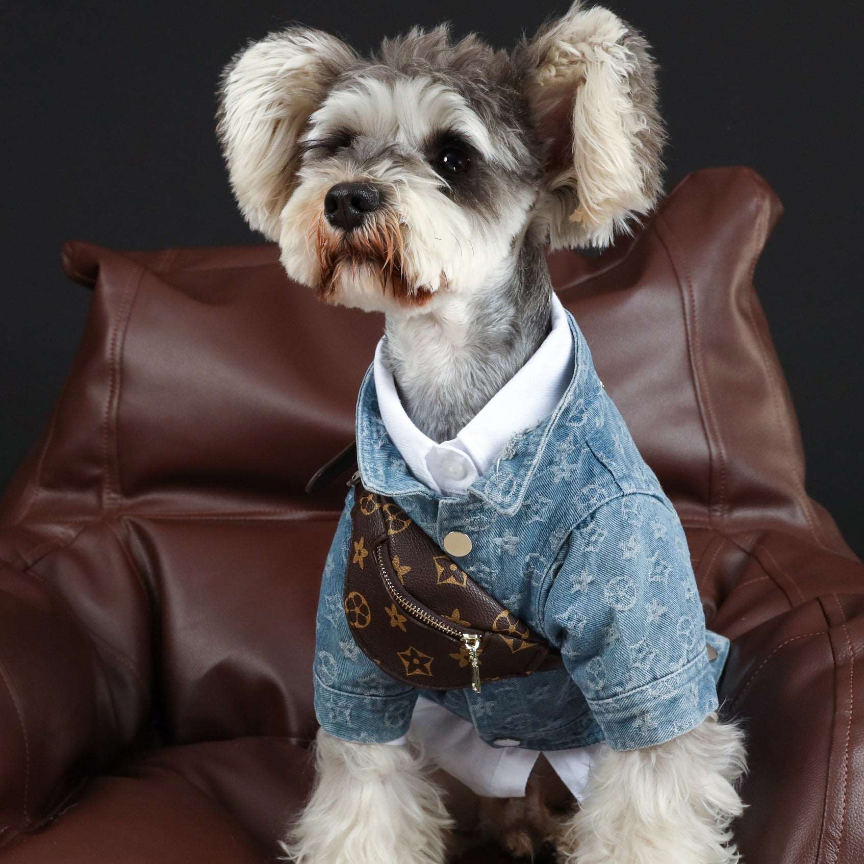 Dog Denim Jacket