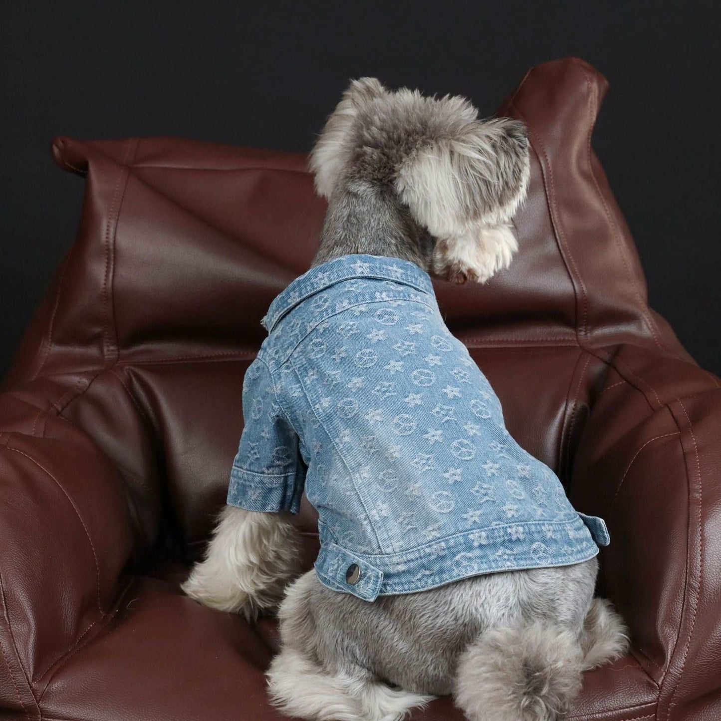 Dog Denim Jacket