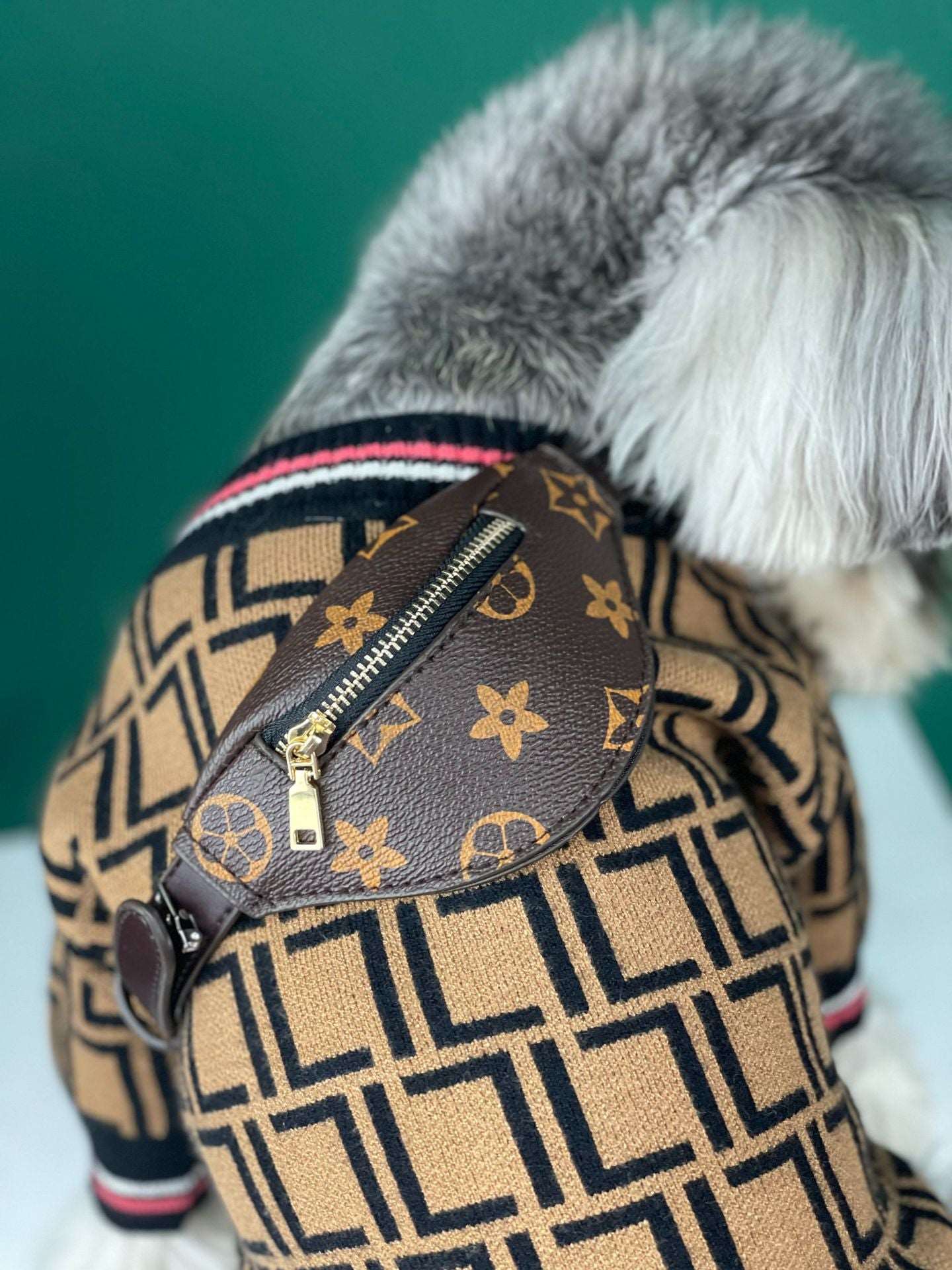 Pet Trend Luxury Bag