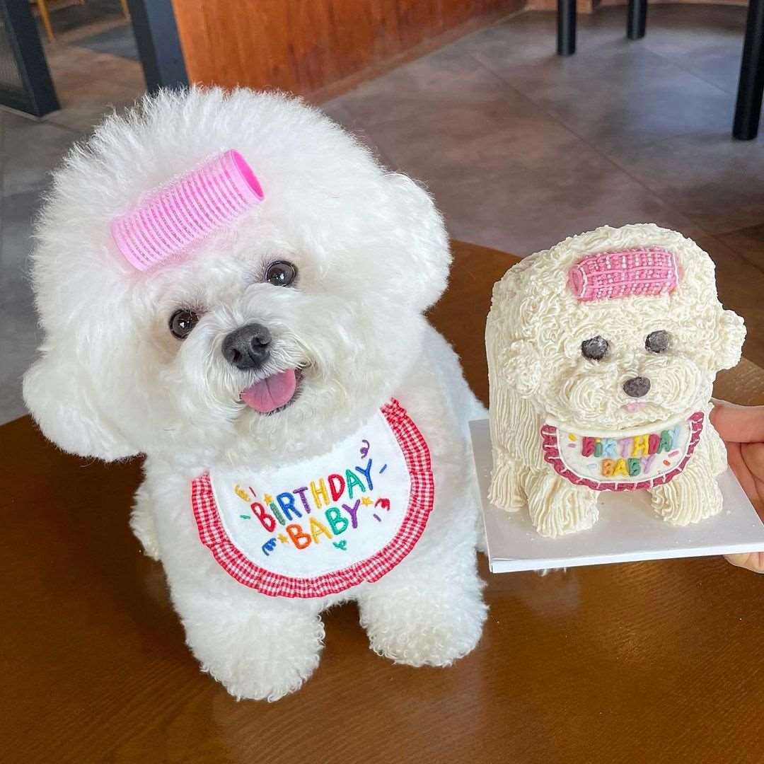 Cute Birthday Pet Bandana