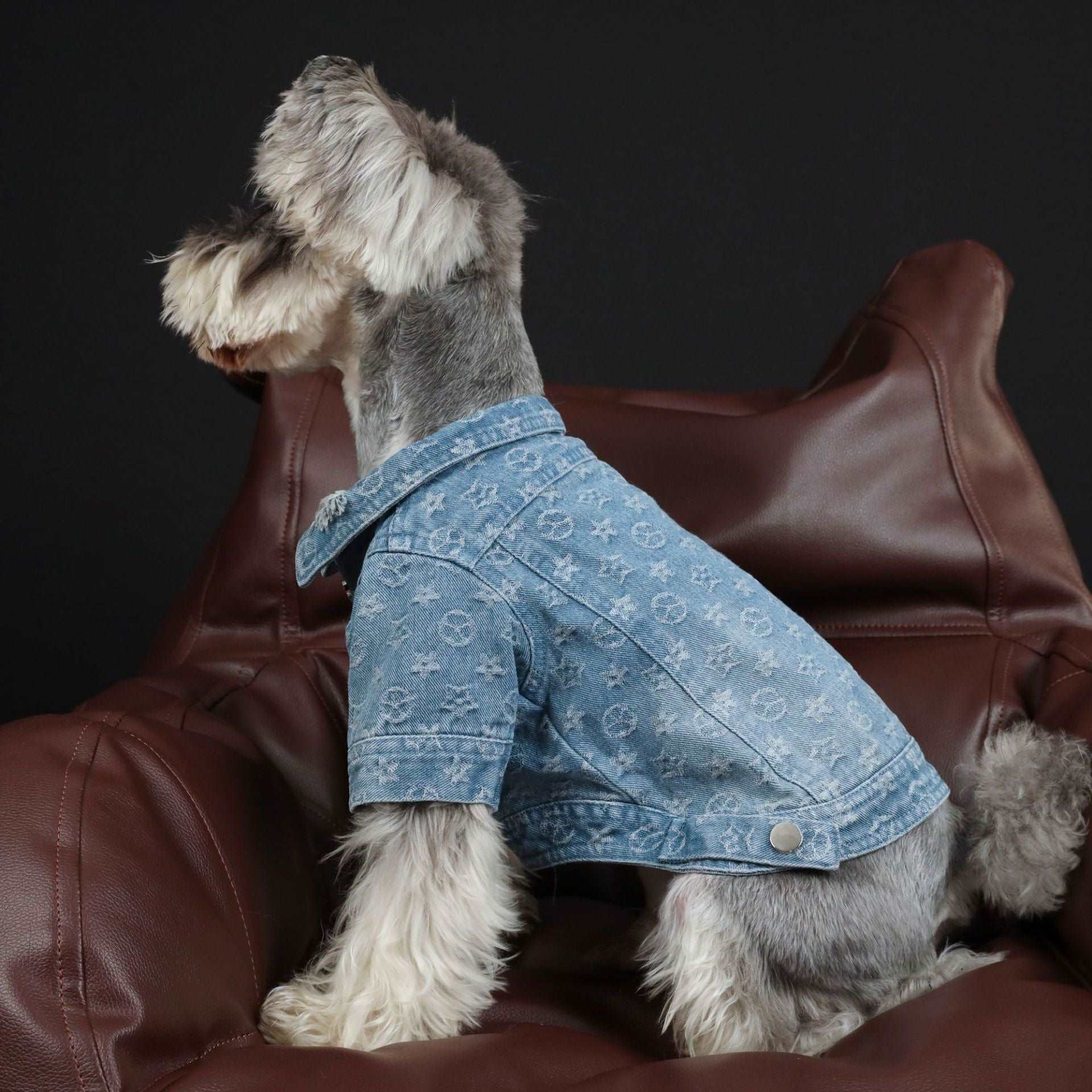 Dog Denim Jacket