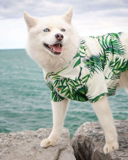 Hawaiian Dog Shirt