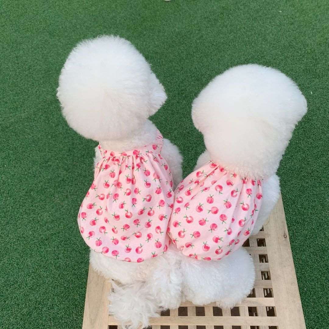 Cute Puppy Summer Dresses