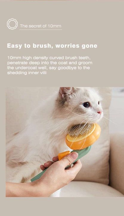 Pumpkin Pet Brush