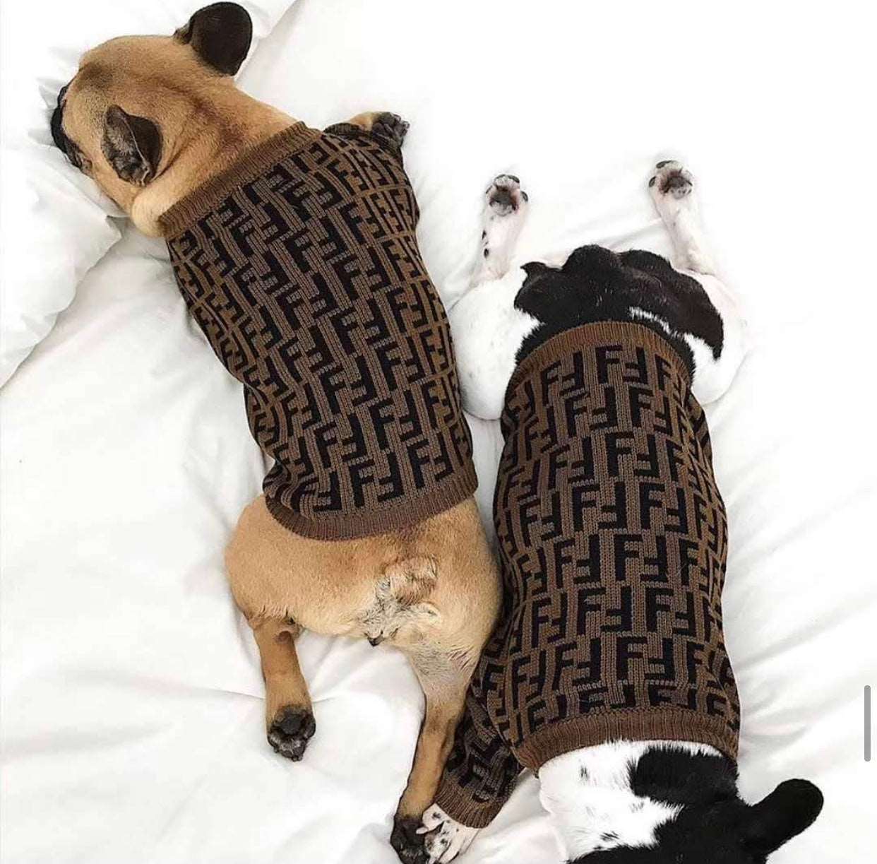 Dog Casual Brown Letter Jumpers