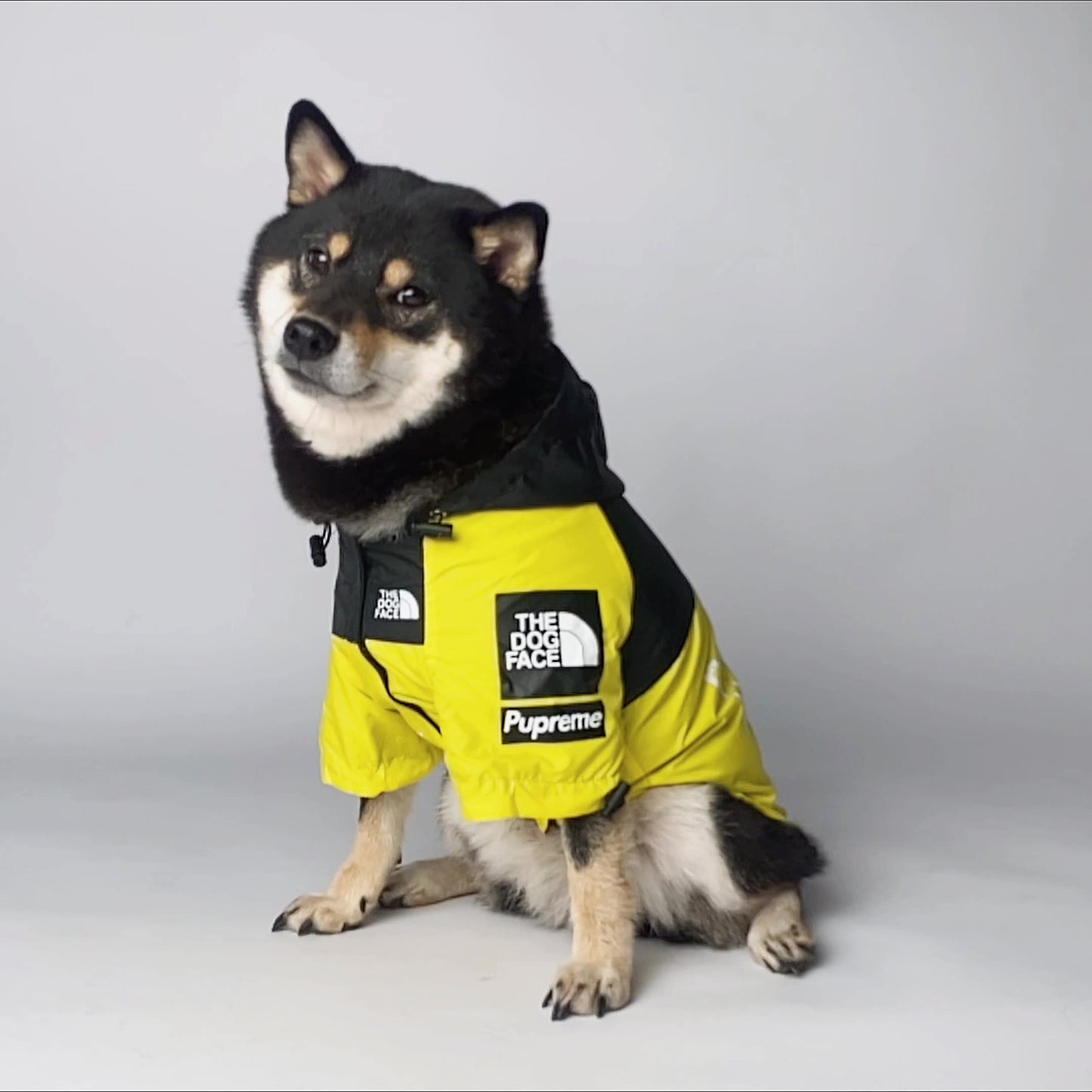 Waterproof Raincoat Dog Pet Jacket