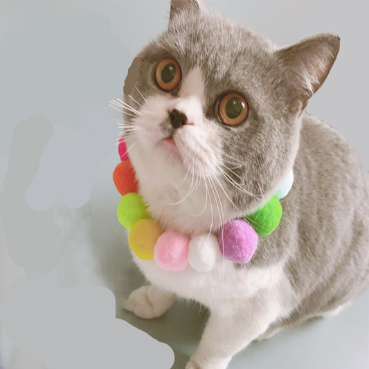 Pet Plush Ball Collar
