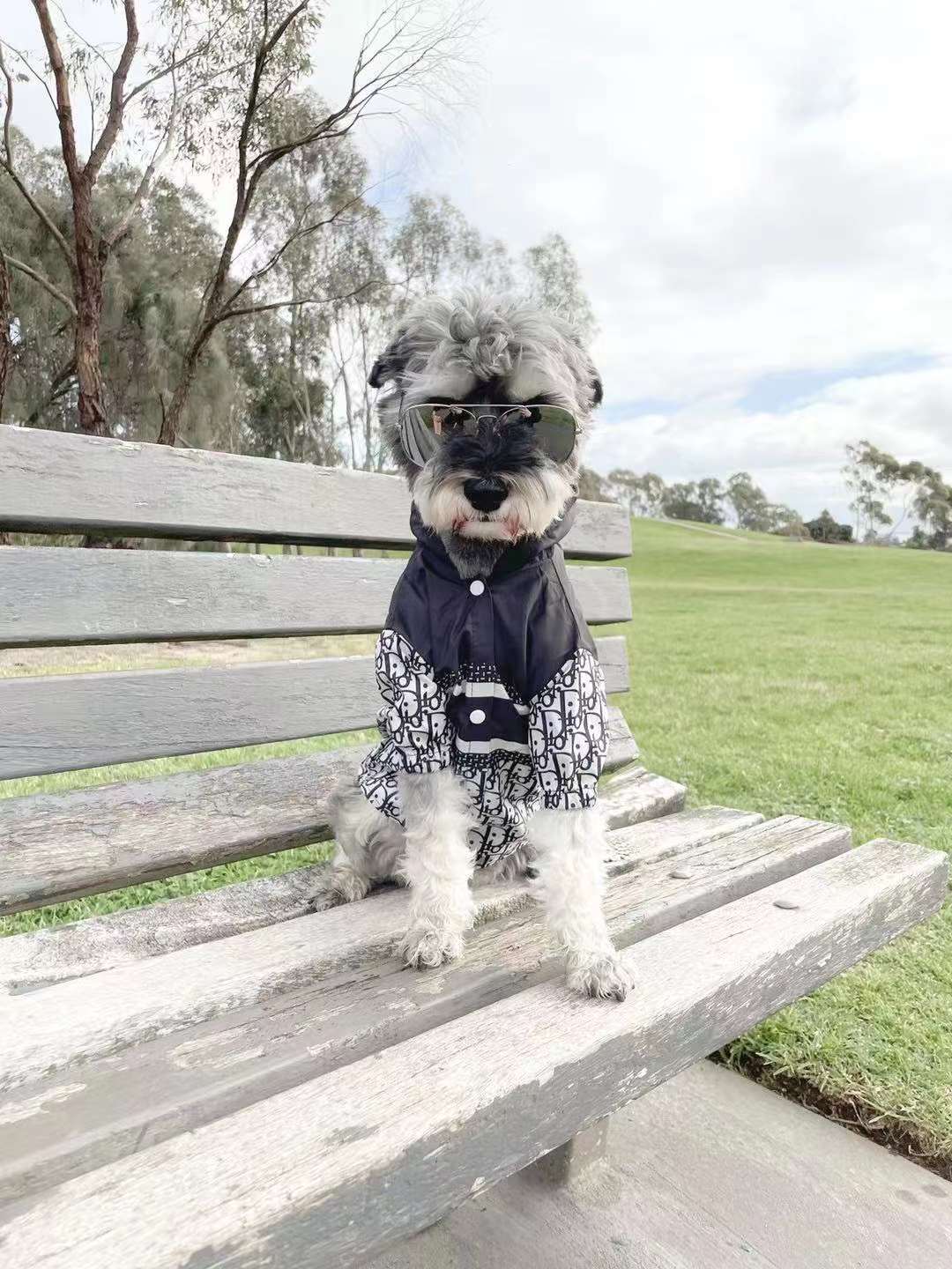 Pet Jacket Sunscreen