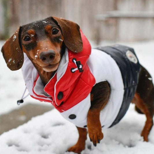 Dog Moncler Down Vest