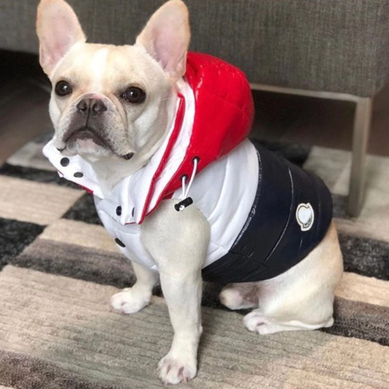 Dog Moncler Down Vest