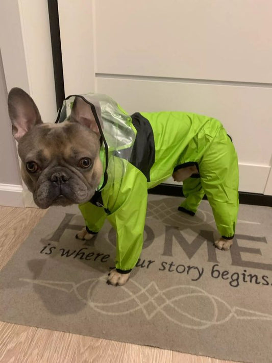 The Dog Face Pet Raincoat